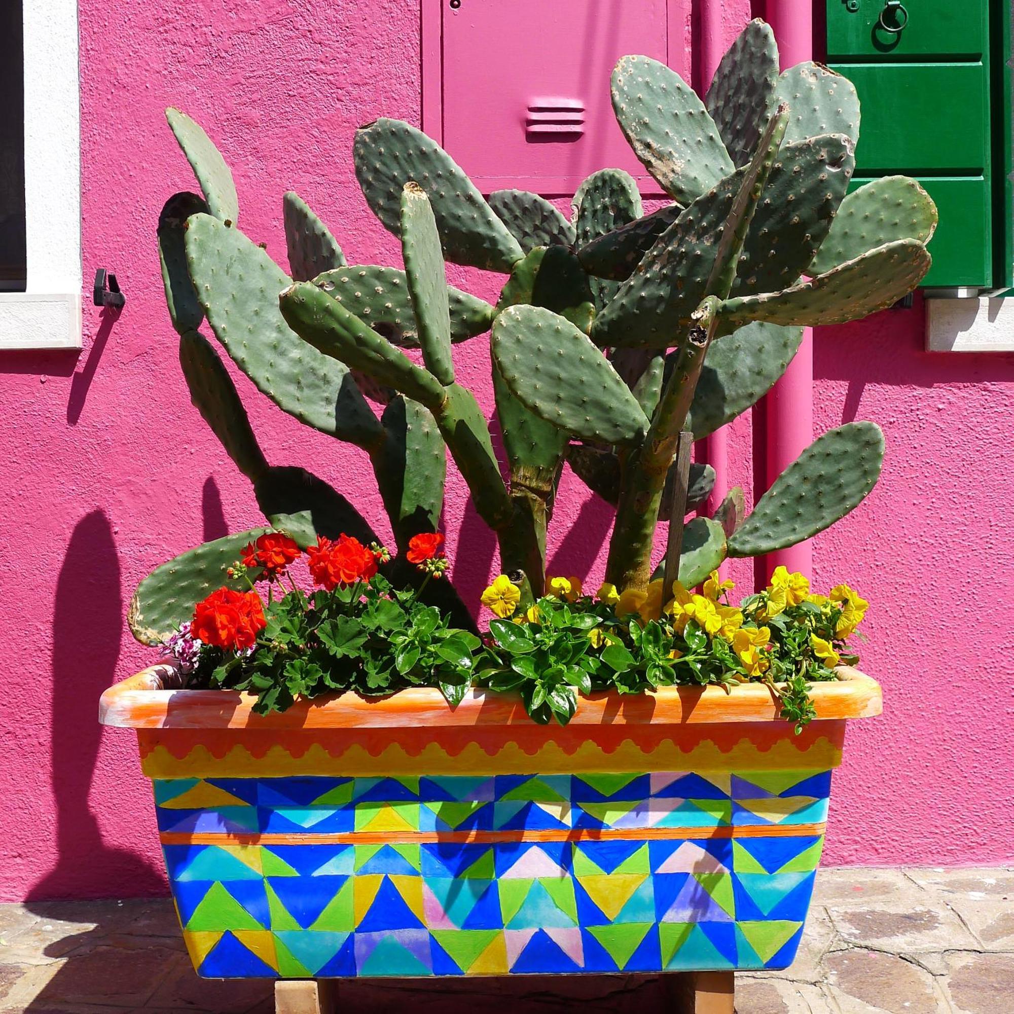 Night Galleria Holiday Home - Bed & Art In Burano - The Pink House Exteriér fotografie